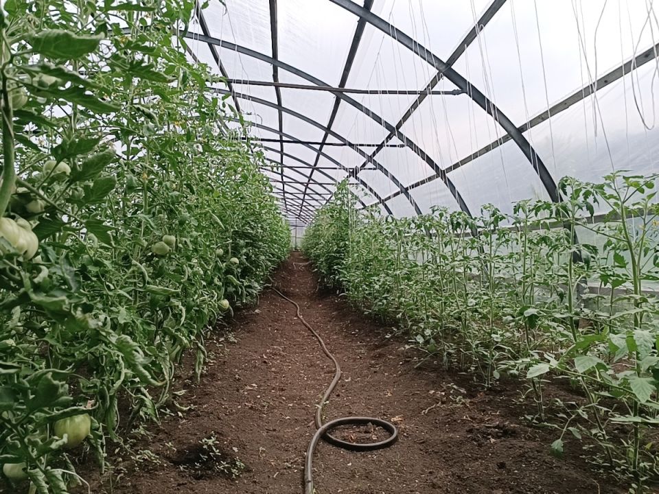 ������: �������� �������� � �������� �����