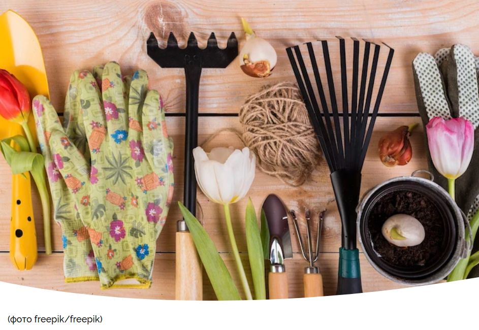 ������ ���������� �������� ���������: ������ �� ������� � �����