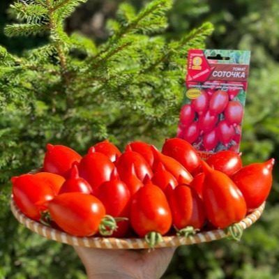 ������ ��������: ��� ���������� �������� ����������� � ������� �������