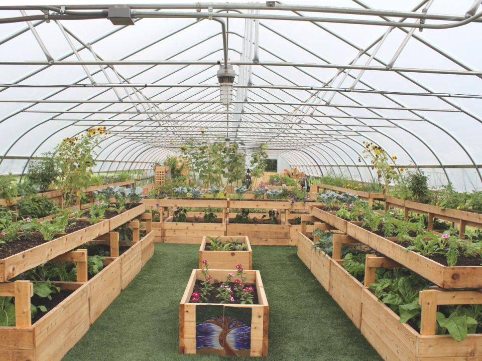 ��� ������ ��������� �������: ������� ������ ��� ���������