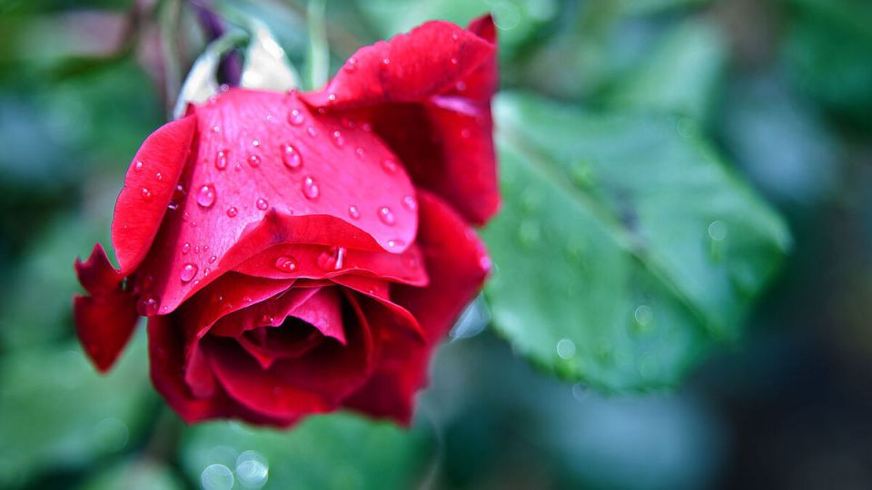 ���������� �����: �������� ��������� ��� ������� ���� ��� ��������?