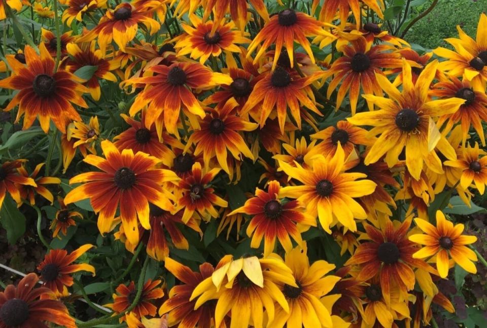 ��� ��������� ������� ������� �����: ������� �������� ��������