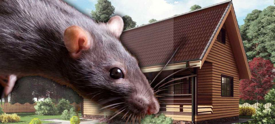 ��� �������� ����� ������: ����������� ������ �� �������� ��������