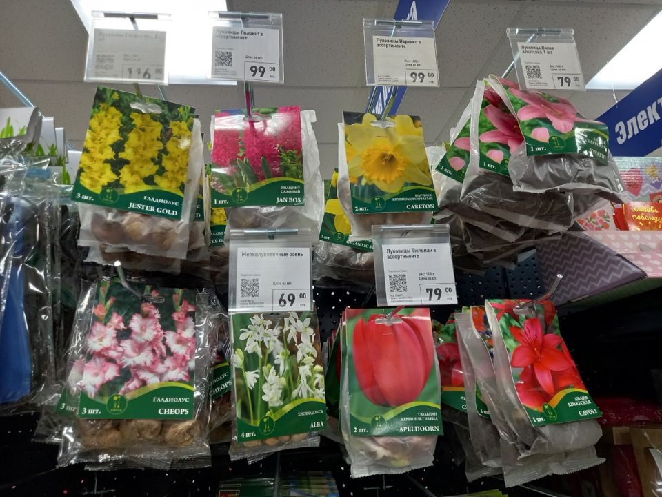 ����� � ���� �����: ������ � ���� � ������� �� 35 ������