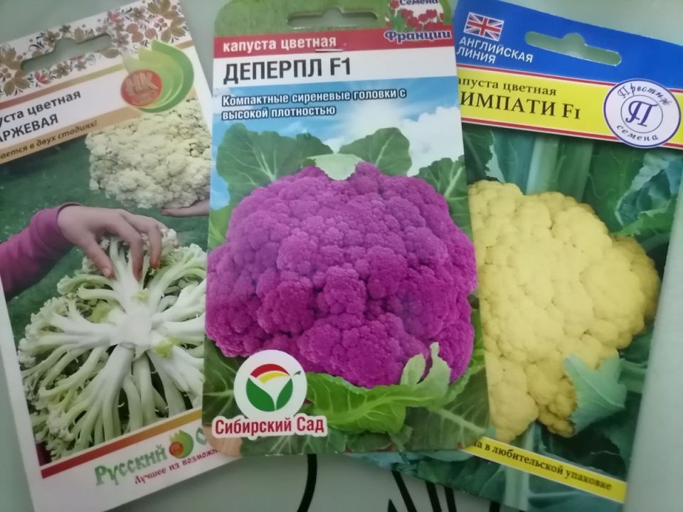 ������������ ������� ������� �������: ���� ������������������