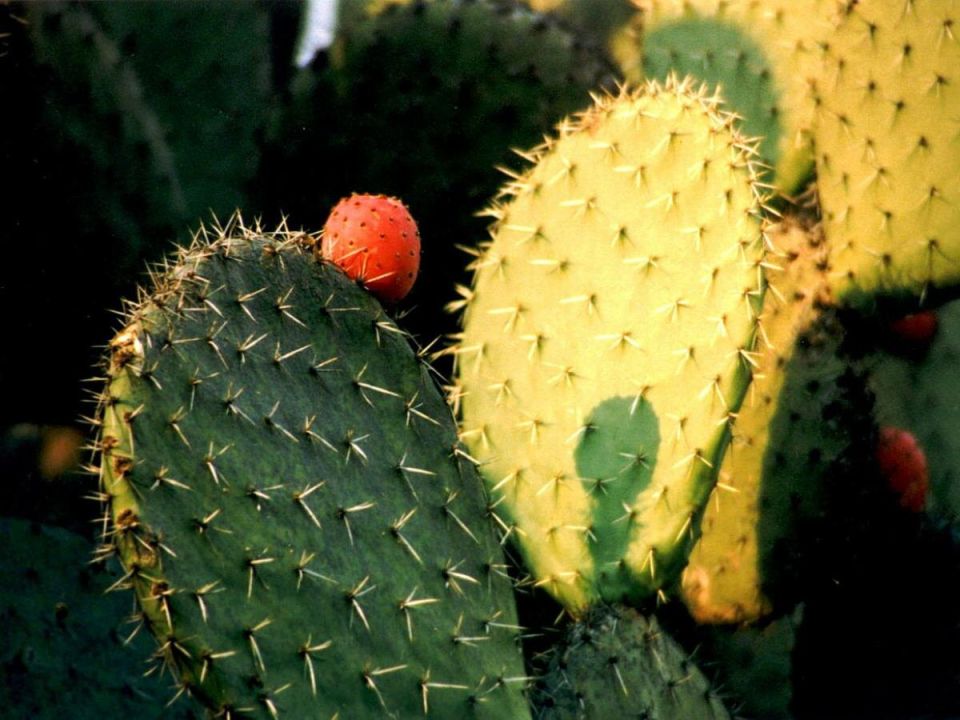 �������� ������ � ��������: ����� ������������ � ��� ������� ��������