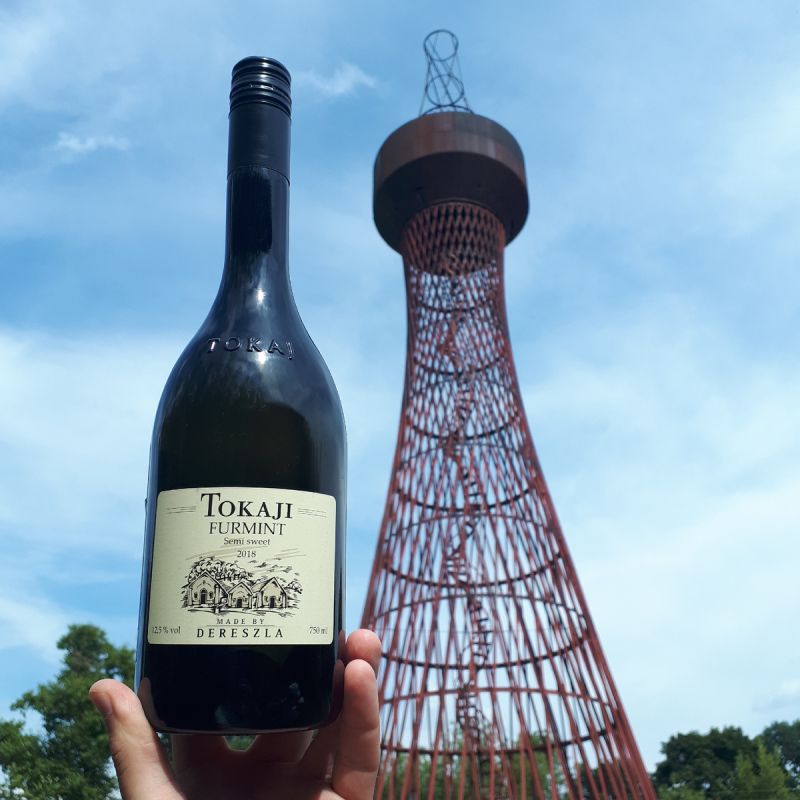 ���� �������: �� ��������� �� �������������