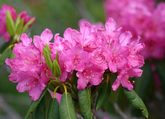 ��� ������� ��������� ������� ��� �������� ������������