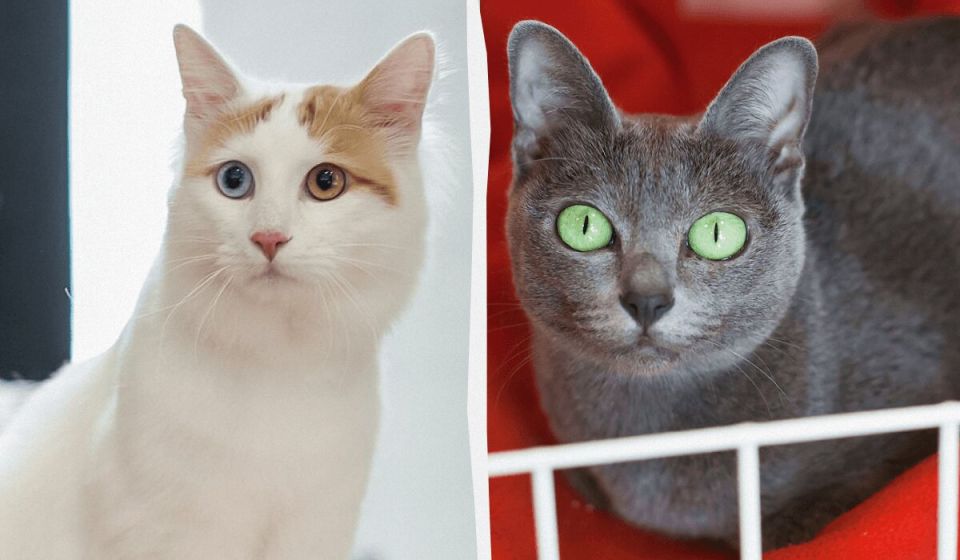 ������ �����: 10 �����, ������� �� �� ��������� �� ������ ����