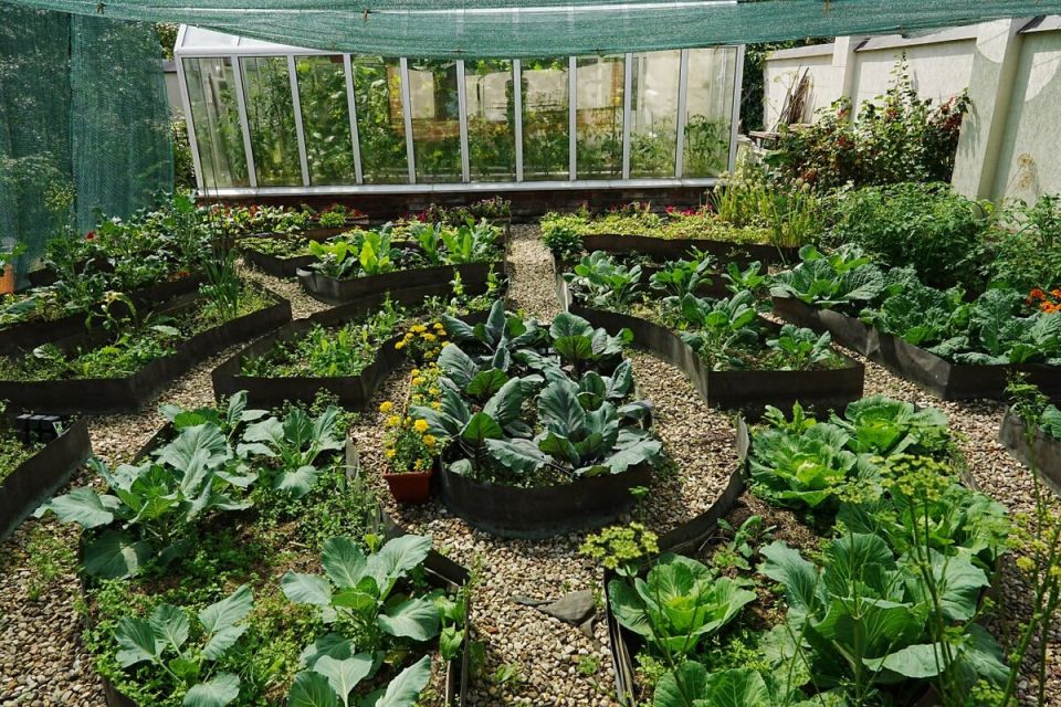 ��� ������, ��� � ������: ������� ������������ ������