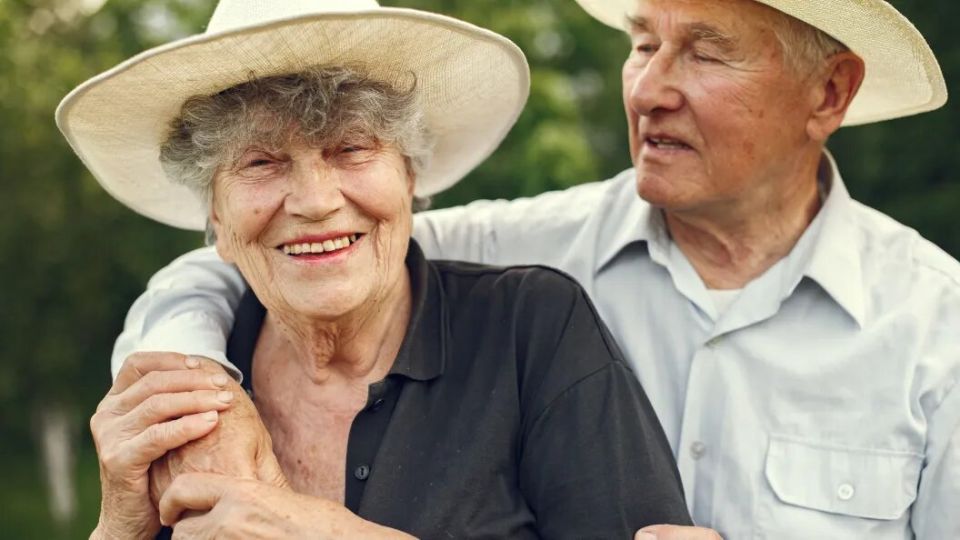 ������ � �������� ��� �����������: ��� ����� ����� � 2026 ����