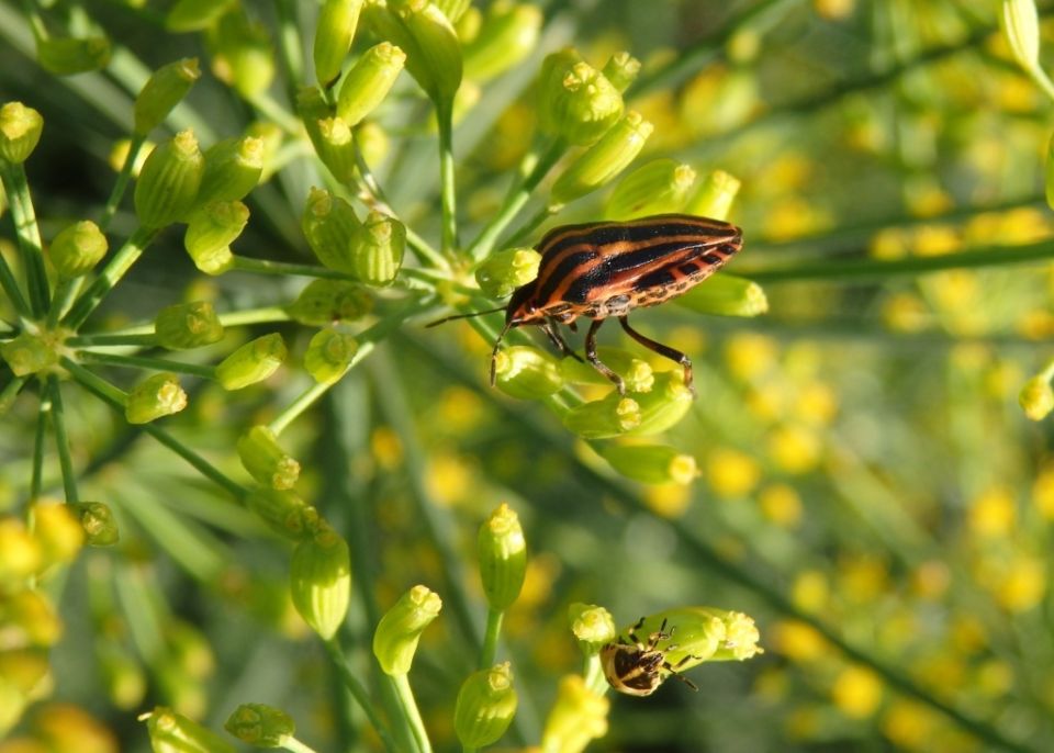 ����������� ���������� ������: ����� ����� � �������