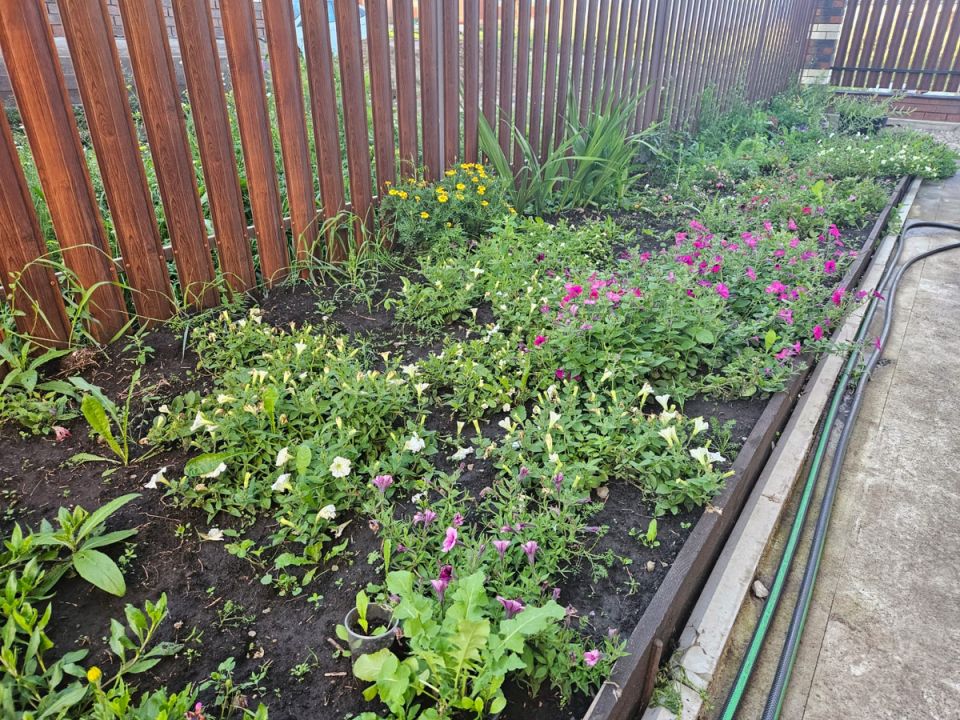 ��������� ��� ������ ����: ��� ������� ������ ����� � ���������� ��� �������