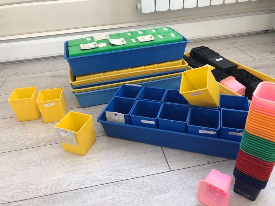 ������������� ����� �� ����������� � ���������� ���������� ��������� ��������� ����