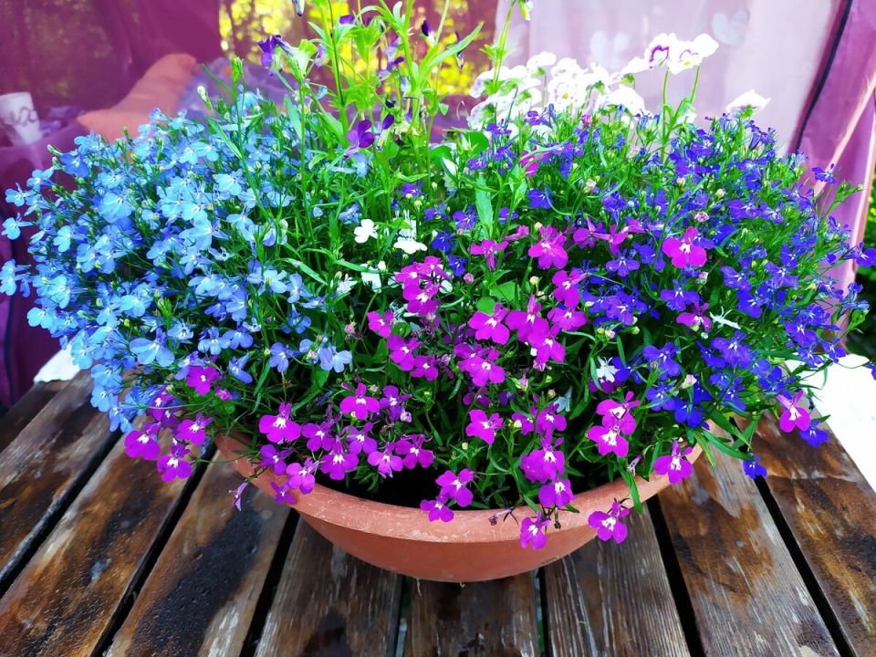 �������: ��������� � ������ � ���� ������