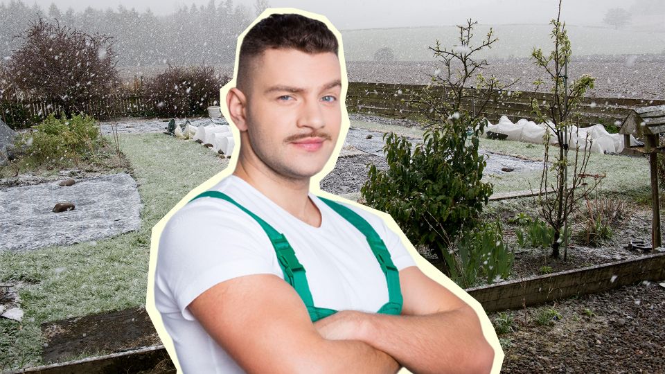 ��������� ��� �������: ��� �������� ������� ������� ���������� �� ��������