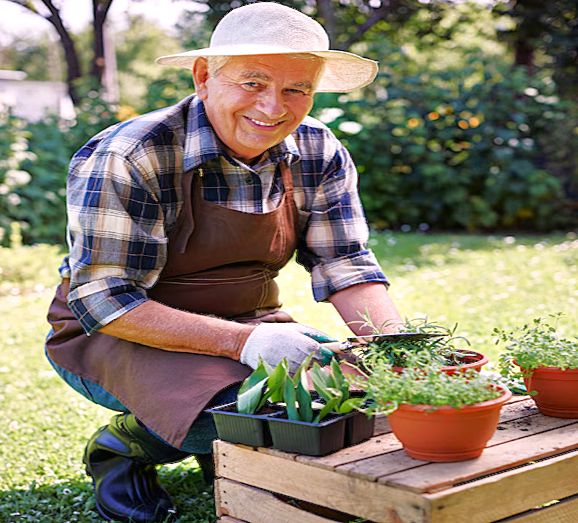 �������� ����������: ����� ������� ���������� ��������