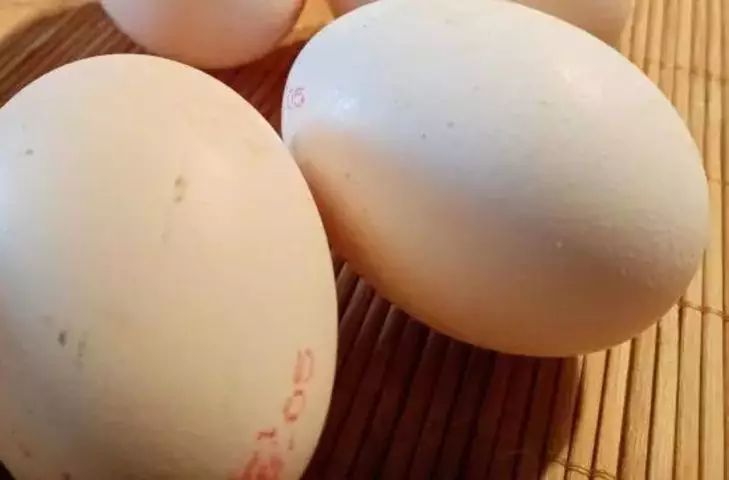 ������ �������� �����: ��� �������� � �������� � � ������ ����� ��� ������