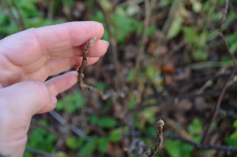 ��� � ������� ���������� ���������� �� ��������� ����� �� ���������?