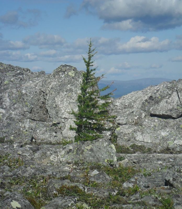 ���������� �������� ���� �� ������� ����� ���������� ��������� ����������