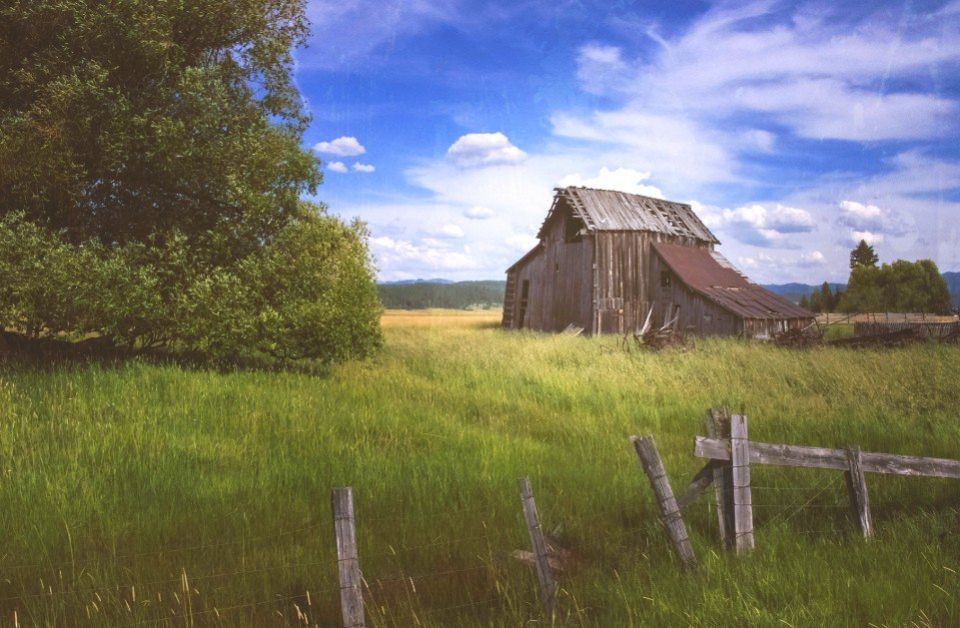 ��� ���������� �� ������� �� ������� ���� ������������: ��������� ����������