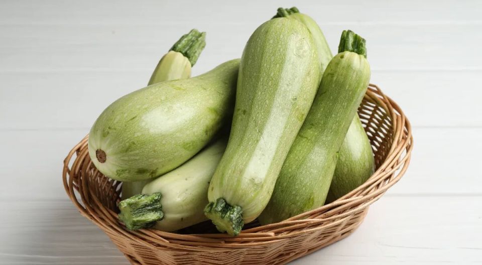 ��� ������� ����� �������� ���� �������� ���� �����: ���������� �����