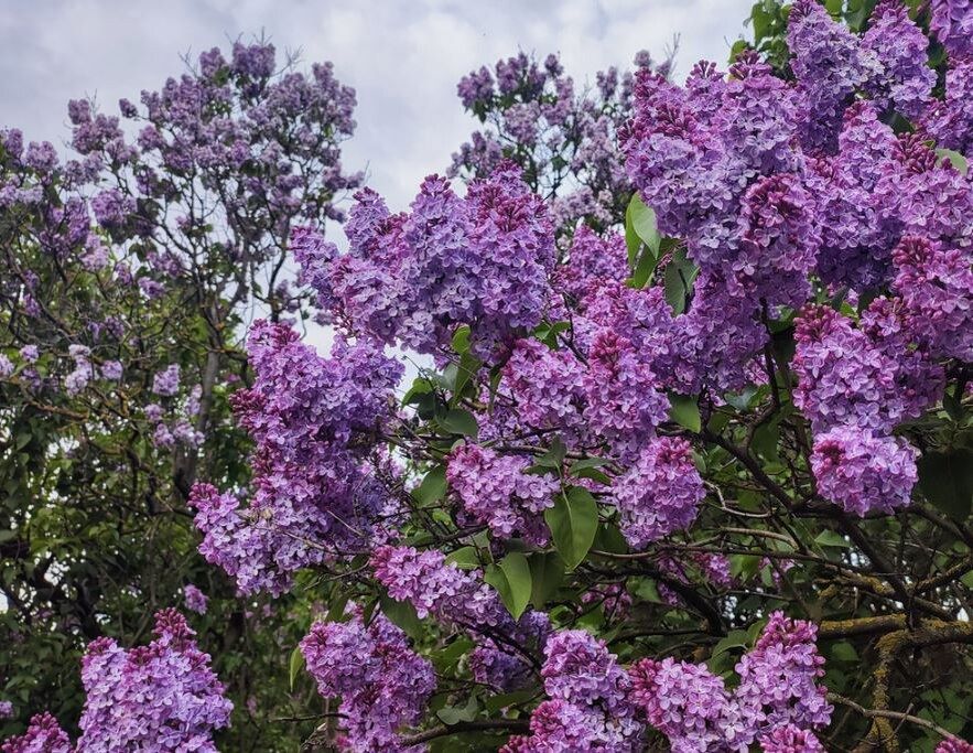 ������� �������� ������� ������: ����� � ��� ������ ��� ��������� ��������