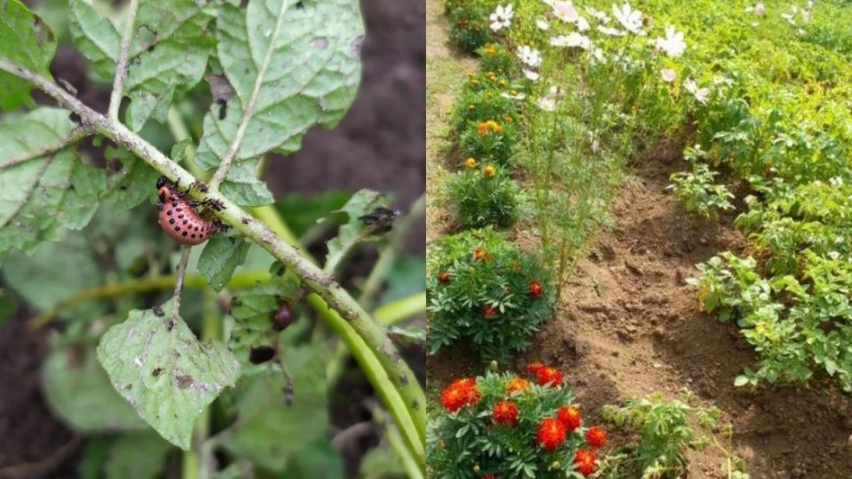 ��� ��������� ����� �� ������ ������� ��������� �� ����������