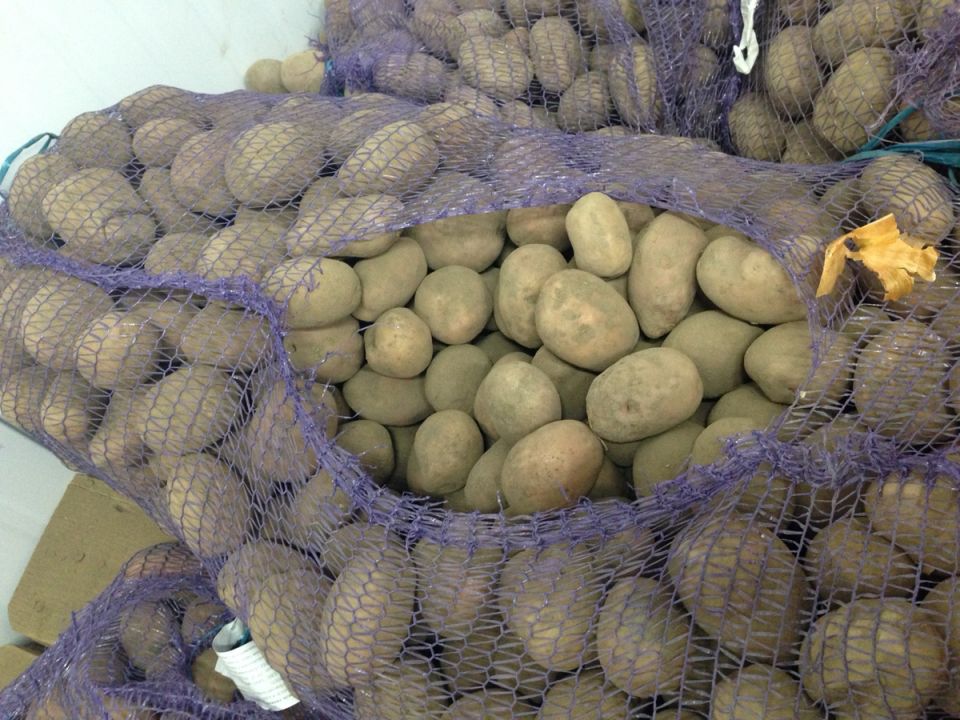 Почему стоит сохранить картошку без мытья