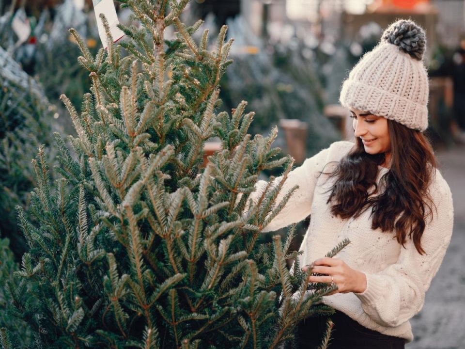 ������ ����� ���������� ��� �� ������������ ��������� ��� ��������