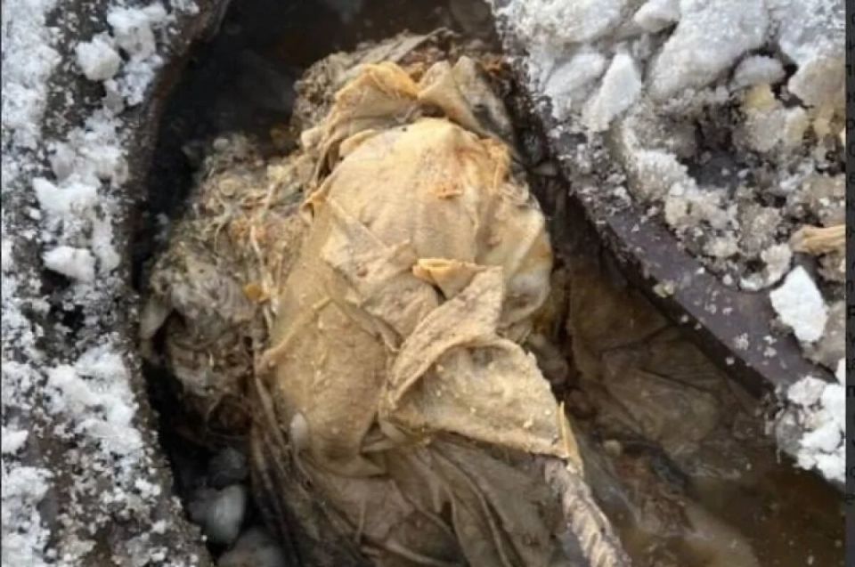 ���� � ���������� ��������� ��-�� �������������� �������