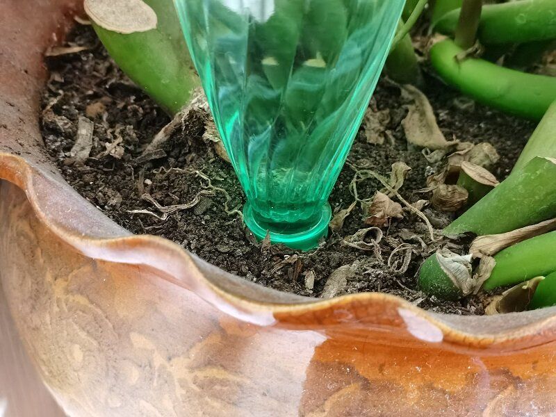 ��� ����������� ������� ����� ���� ��������� � �������� �������