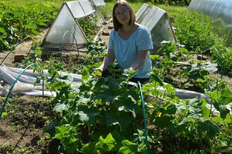 ��� ��������� ������� ������ ������� ��� ������ �������