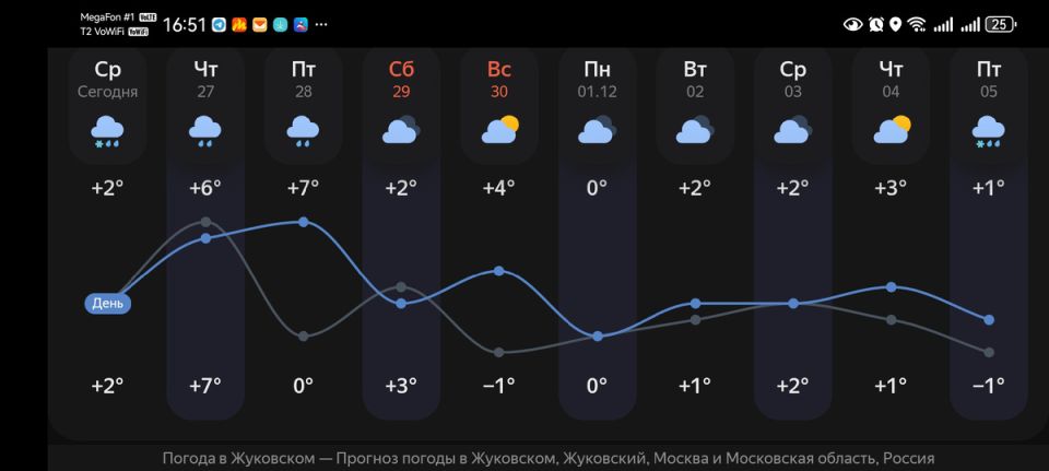 Как сохранить розы в теплую зиму: рекомендации для садоводов