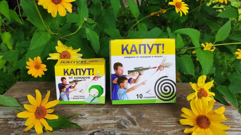 ��������� ��� �� �������: ��� ����������� �������� �������� �� �������� ����������