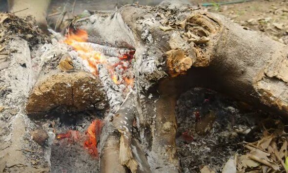 ��������� ����: ������ �������� ����� ��������